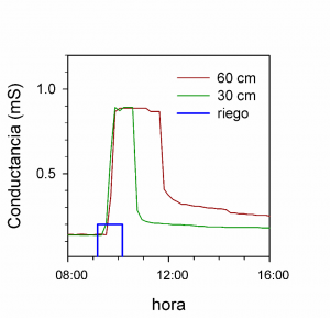 graficariegos